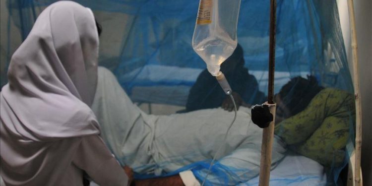 کورونا کے بعد ڈینگی کا خطرہ