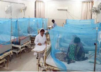 پنجاب ڈینگی کے نرغے میں