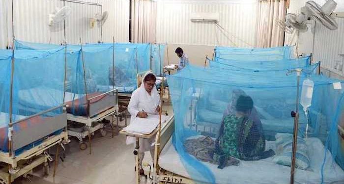 پنجاب ڈینگی کے نرغے میں