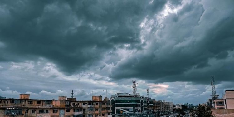 زندگی میں صرف کانٹے ہیں، یہ ’ گلاب‘ بھی دھوکہ دے گیا!