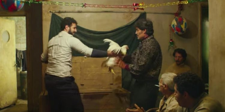 انسان سے مرغی بننے کی کہانی پر مبنی مصری فلم  وجہ تنازعہ کیوں بنی؟
