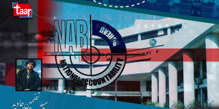 نیب آرڈینس ایک اور وجہ تنازعہ بن گیا