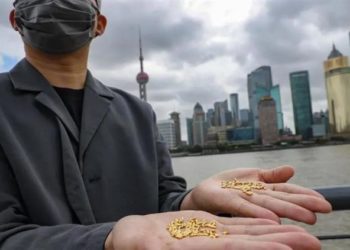 ہزارطلائی دانے کچرےکی نذر کرنے والا چینی