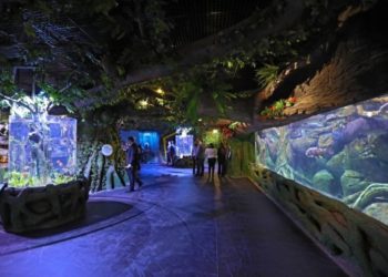 مشرق وسطیٰ کا  سب سے بڑا ایکیوریم