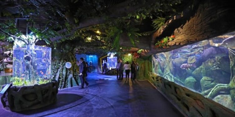 مشرق وسطیٰ کا  سب سے بڑا ایکیوریم