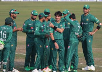 یہ گھر کے شیر نہیں ہیں!!!