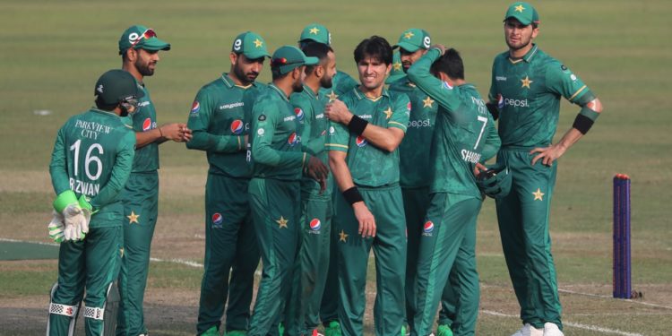 یہ گھر کے شیر نہیں ہیں!!!