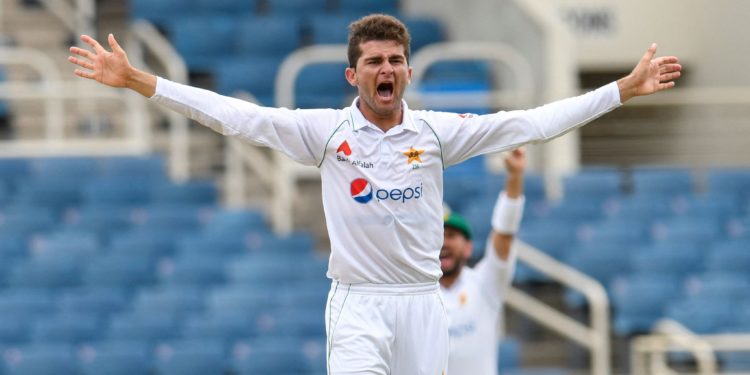 شاہین کی بلے بازوں کی ناکامی کا داغ دھونے کی کوشش