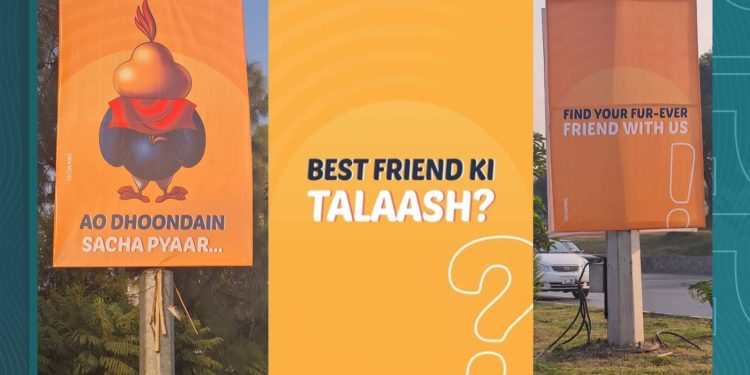 اسلام آباد میں کس کو سچے پیار کی تلاش ہے؟