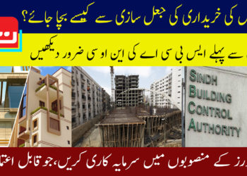 فلیٹس کی خریداری کی جعل سازی سے کیسے بچا جائے؟