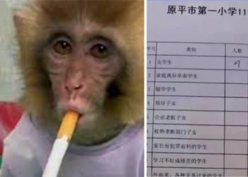 چین میں بندر کو زبردستی سگریٹ نوشی کرانے پر تنقید