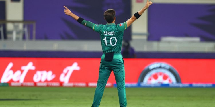 شاہین کی ڈیڈلی ڈیلیوریز این ایف ٹی مارکیٹ میں کروڑوں کمائیں گی