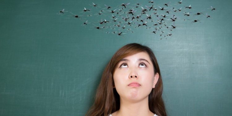 آخر مچھر سر پر کیوں منڈلاتے ہیں؟