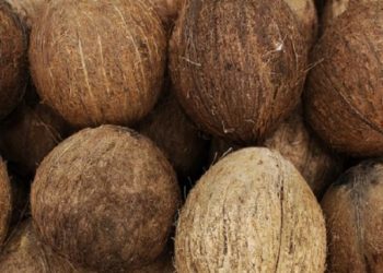 بھارت : نئی سڑک کا افتتاح، ناریل تو نہ ٹوٹا سڑک ٹوٹ گئی