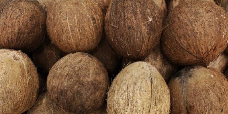 بھارت : نئی سڑک کا افتتاح، ناریل تو نہ ٹوٹا سڑک ٹوٹ گئی