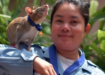 انسانی جانوں کا محافظ گولڈ میڈلسٹ چل بسا