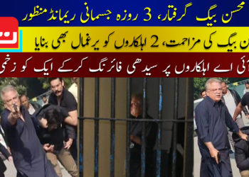 محسن بیگ کا تین روزہ جسمانی ریمانڈ منظور