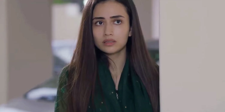 ثنا جاوید کی مشکلات میں اضافہ،معروف برانڈ نےتشہیری مہم سے الگ کردیا