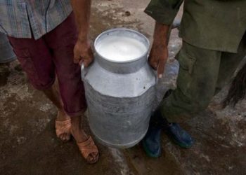 پٹرول اور ڈیزل کی قیمتوں میں کمی لیکن کراچی کے گوالے من مانی پر اتر آئے