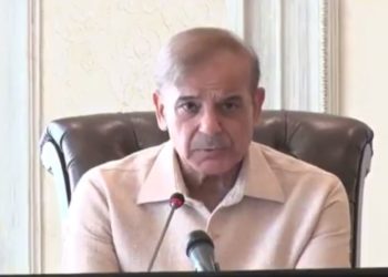 مسائل کے حل کے لیے کوئی جادو کی چھڑی کام نہیں آئے گی،شہباز شریف