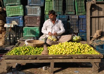 بھارت میں لیموں نایاب، چوروں نے کیا ”قیمتی لیموں” پر ہاتھ صاف