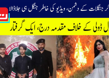 ٹک ٹاکر جنگلات کے دشمن، ویڈیوز کی خاطر جنگل ہی جلا ڈالا