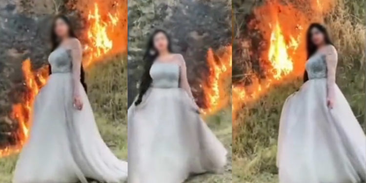 ایبٹ آباد اور مرگلہ کے جنگلات کو آگ لگانے والے کون تھے؟