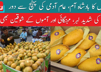 پھلوں کا بادشاہ آم، عام آدمی کی پہنچ سے دور