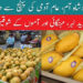 پھلوں کا بادشاہ آم، عام آدمی کی پہنچ سے دور