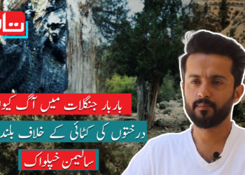 سالیمن خپلواک: جس نے اٹھایا بلوچستان کو فضائی آلودگی سے پاک کرنے کا بیڑا