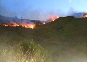 خیبرپختونخوا کے جنگلات میں آگ کیوں لگ رہی ہے؟