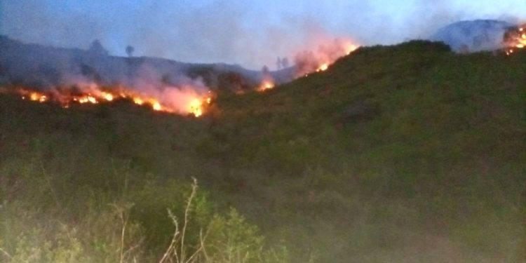 خیبرپختونخوا کے جنگلات میں آگ کیوں لگ رہی ہے؟