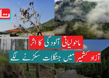آزاد کشمیر میں ماحولیاتی آلودگی چیلنج، جنگلات سکڑنے لگے