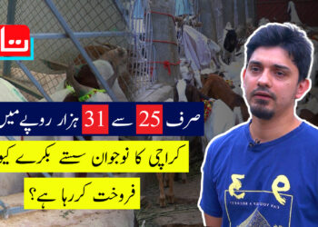 عید الاضحیٰ کے رنگ: کراچی میں سستے ترین بکرے کہاں مل رہے ہیں؟