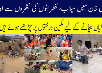 ڈی جی خان سیلاب: زندگیاں بچانے کے لیے مکین درختوں پر رہنے پر مجبور