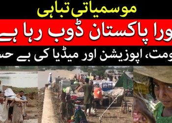 سیلاب کی تباہ کاریوں پر میڈیا اور حکومت کی بے حسی