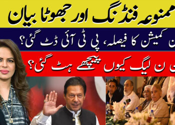 ممنوعہ فنڈنگ اور جھوٹا بیان: نیوٹرل ود ناجیہ