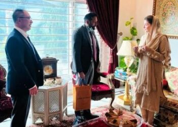 ‘ملاقات لوئس ووٹن بیگ کے ساتھ ‘