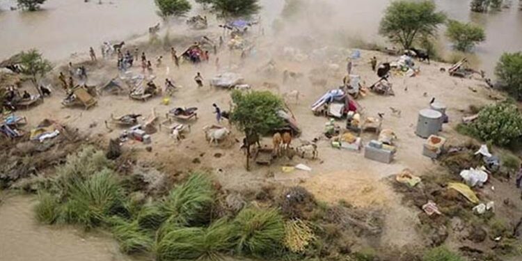 ‘سیلاب سے تباہی کی بڑی وجہ دریاؤں کے بیچوں بیچ تجاوزات ہیں’