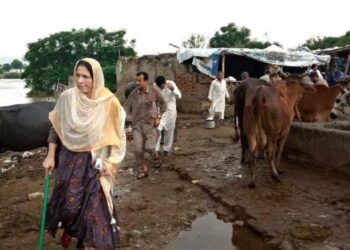 نوشہرہ کی آئرن لیڈی: مس وزیر جن کا جذبہ لوگوں کے دلوں میں گھر کرگیا