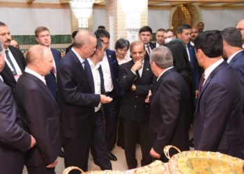 ایک تصویر کا اس قدر پوسٹ مارٹم اور دوسری کامیابیاں نظر انداز ؟