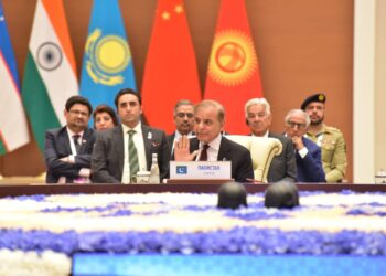 موسمی تبدیلی نے پاکستان میں تباہی مچائی، شہباز شریف