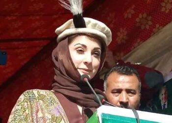 مریم نواز کے پاسپورٹ کی ضرورت نہیں، نیب