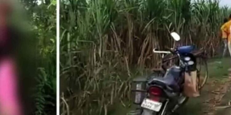 بھارت : دلت بہنوں کی لاشیں درخت سے لٹکا دینے کا واقعہ