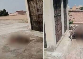 لاشوں کی بے حرمتی، تحقیقات کے لیے کمیٹی