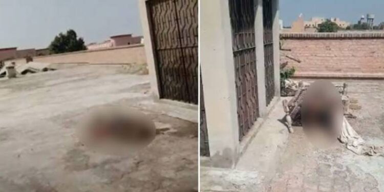 لاشوں کی بے حرمتی، تحقیقات کے لیے کمیٹی