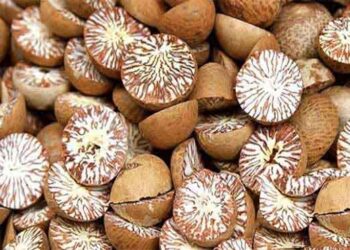 ترکیہ میں چھالیہ لے جانے پر پابندی