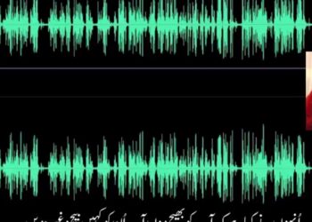 گھڑی سے متعلق مبینہ آڈیو لیک