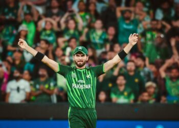 شاہین شاہ، آئی سی سی پلیئرآف دی منتھ کے لیے نامزد