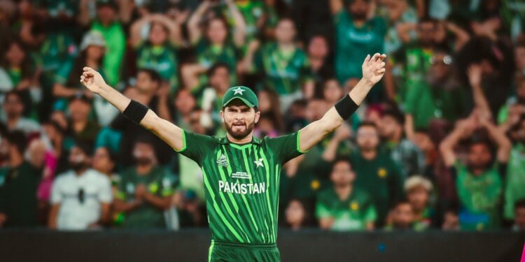 شاہین شاہ، آئی سی سی پلیئرآف دی منتھ کے لیے نامزد